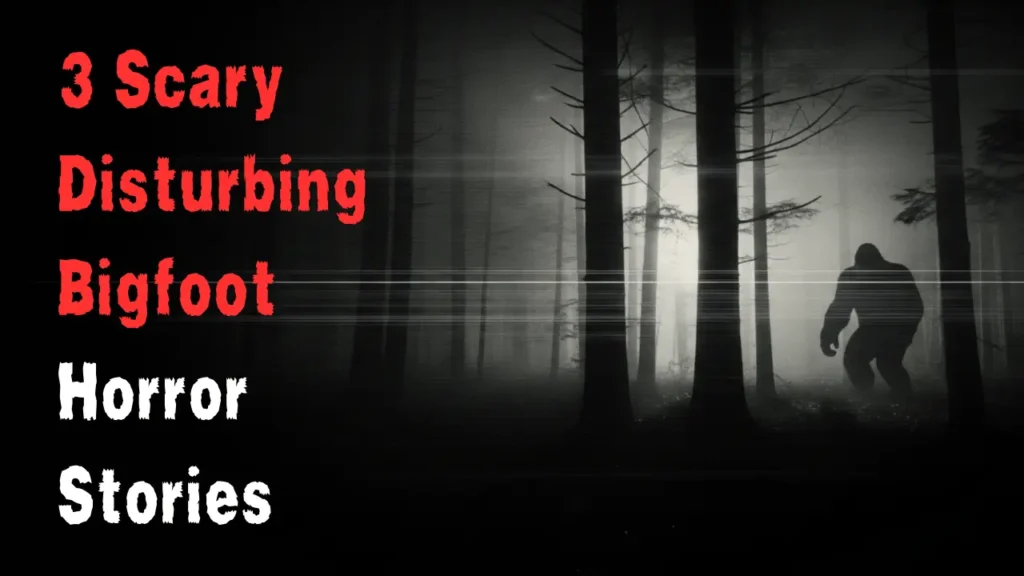 3 scary disturbing Bigfoot horror stories the timbermans debt